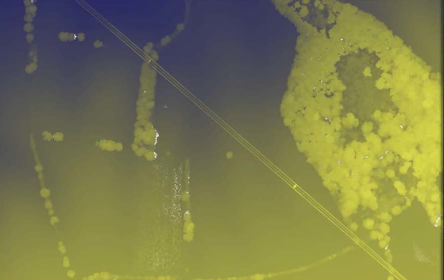 Aerial LiDAR point-cloud scan of forest canopy used to derive structural and ecological indicator scores.