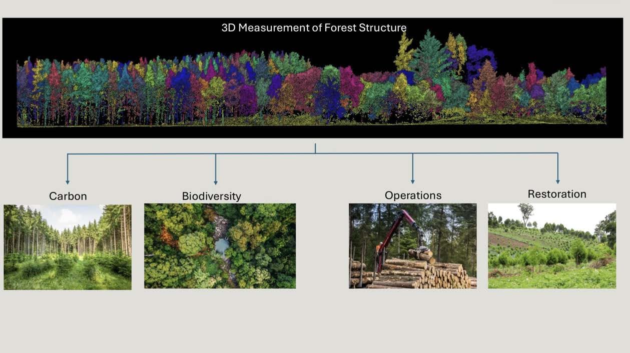3D measurement of forest structure, branching into Carbon, Biodiversity, Operations and Restoration.